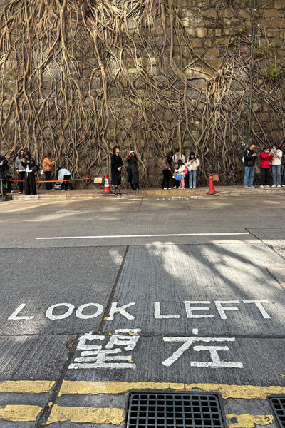 望左望右 トートバッグ